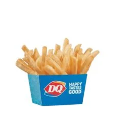 Kids’ Fries on the Dairy Queen menu served as crispy, golden fries in a kid-sized portion