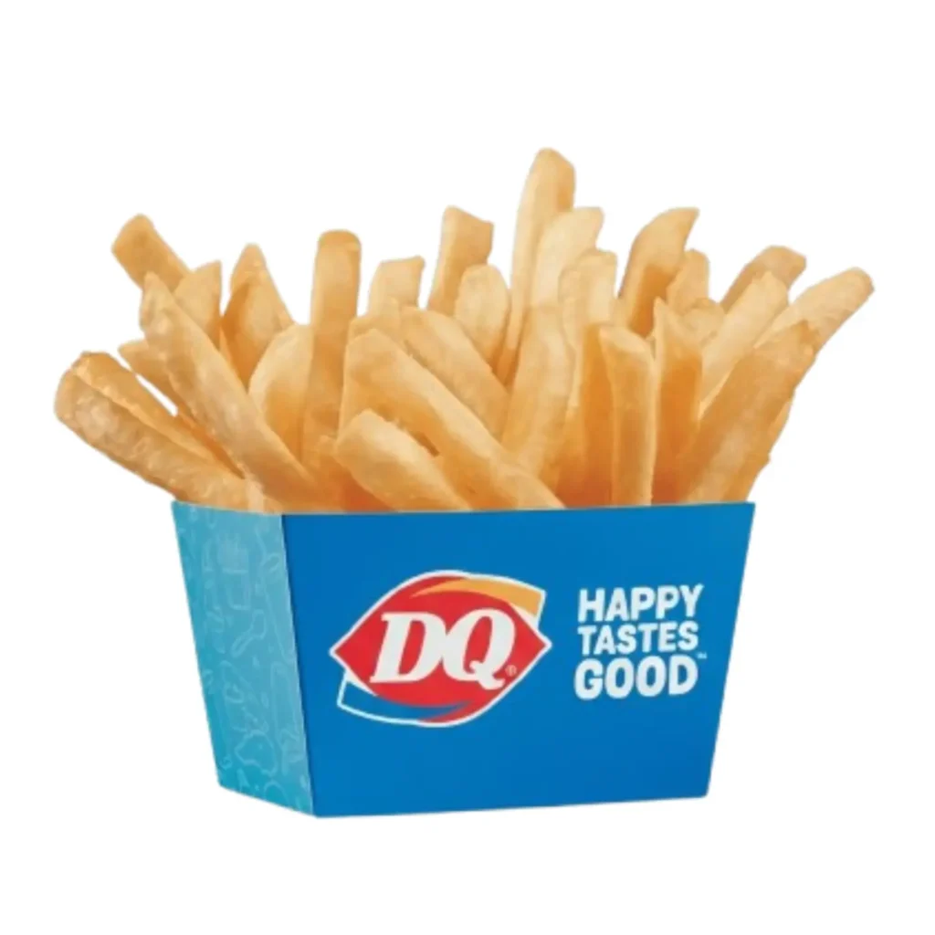 Regular crispy golden French fries